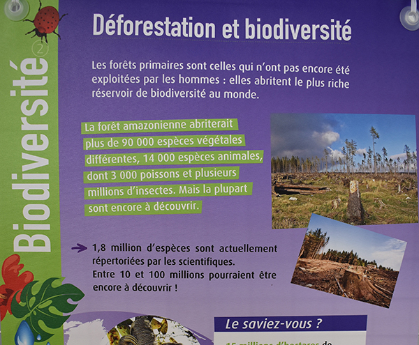 expo biodiversite portail3