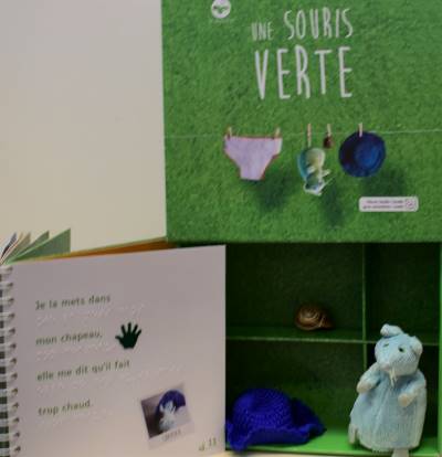 coffret souris verte braille1