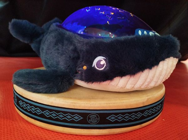 BaleineTambour Ocean web